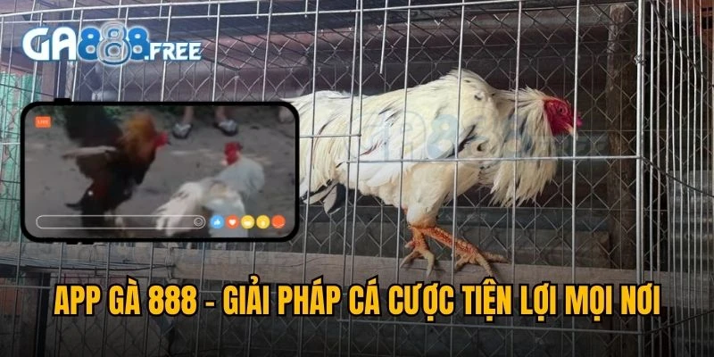 GA888 Éc 🎖️ Link Trực Tiếp Đá Gà Thomo 88 | Đăng Ký +100K 5 App GA888 – Giải pháp cá cược tiện lợi mọi nơi