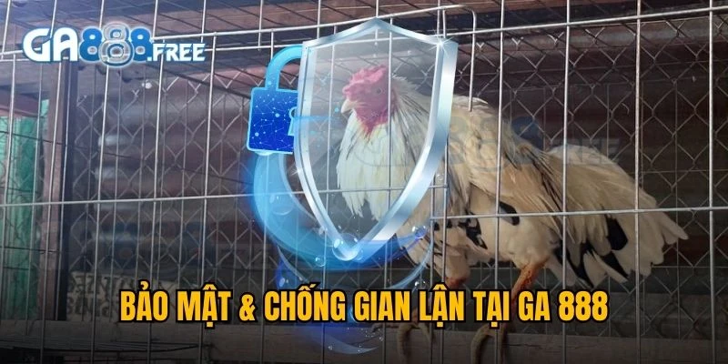 GA888 Éc 🎖️ Link Trực Tiếp Đá Gà Thomo 88 | Đăng Ký +100K 6 Bảo mật & chống gian lận tại GA888