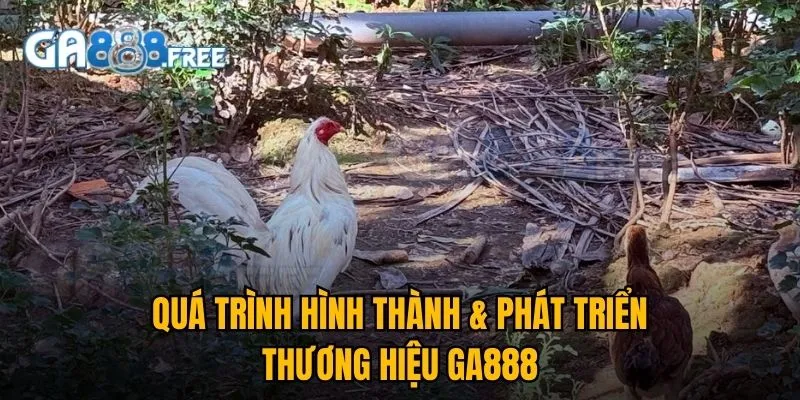 GA888 Éc 🎖️ Link Trực Tiếp Đá Gà Thomo 88 | Đăng Ký +100K 2 Quá trình hình thành & phát triển thương hiệu GA888